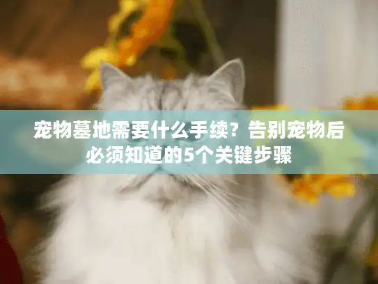 宠物墓地需要什么手续？告别宠物后必须知道的5个关键步骤