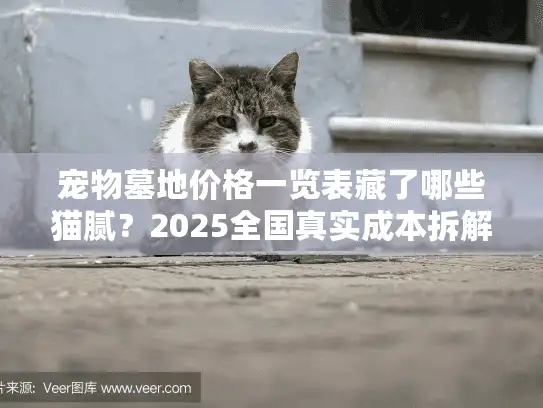 宠物墓地价格一览表藏了哪些猫腻？2025全国真实成本拆解