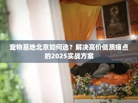 宠物墓地北京如何选？解决高价低质痛点的2025实战方案