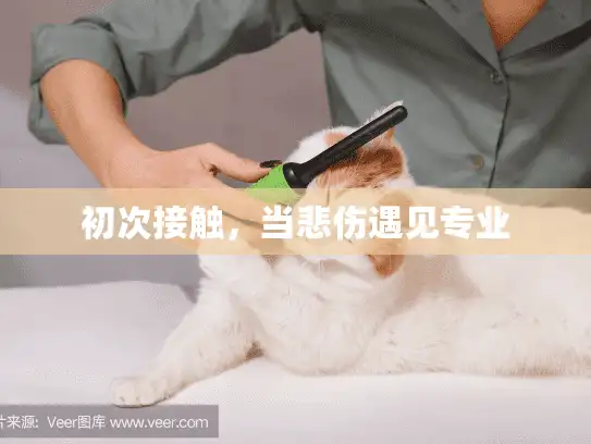 初次接触，当悲伤遇见专业
