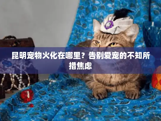 昆明宠物火化在哪里？告别爱宠的不知所措焦虑