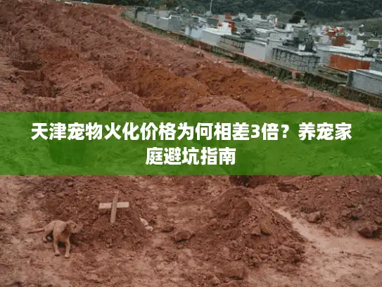 天津宠物火化价格为何相差3倍？养宠家庭避坑指南