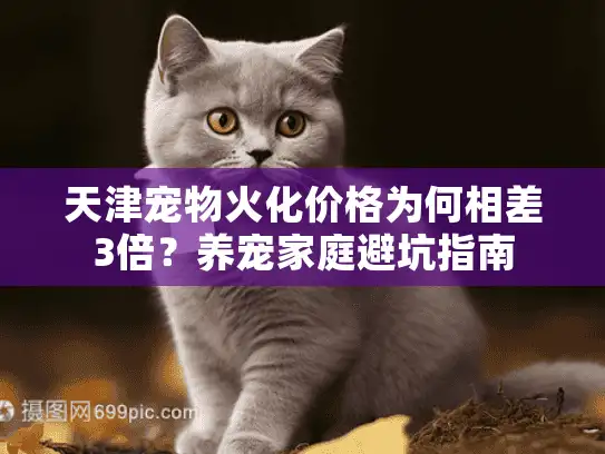 天津宠物火化价格为何相差3倍？养宠家庭避坑指南