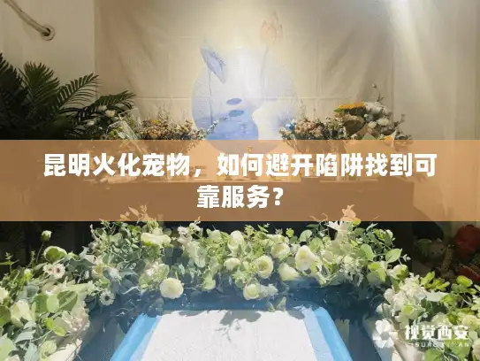 昆明火化宠物，如何避开陷阱找到可靠服务？