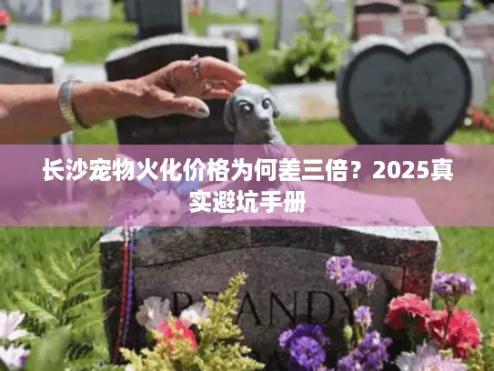 长沙宠物火化价格为何差三倍？2025真实避坑手册