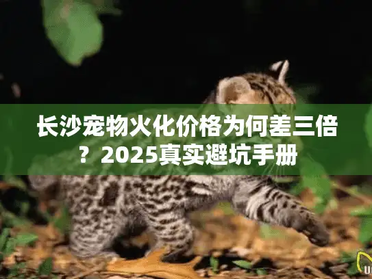 长沙宠物火化价格为何差三倍？2025真实避坑手册