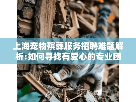 上海宠物殡葬服务招聘难题解析:如何寻找有爱心的专业团队？