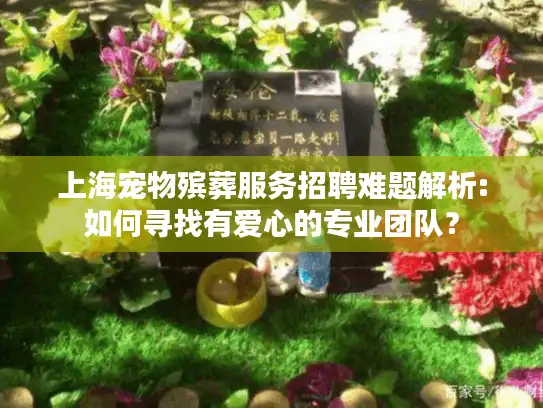 上海宠物殡葬服务招聘难题解析:如何寻找有爱心的专业团队？