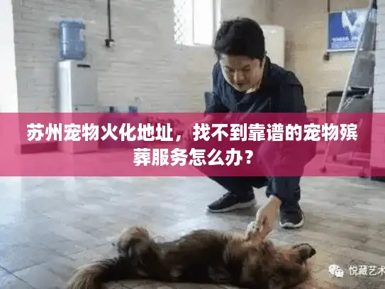 苏州宠物火化地址，找不到靠谱的宠物殡葬服务怎么办？