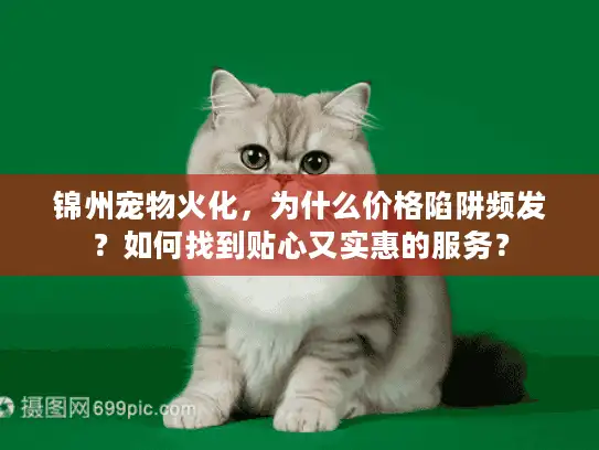 锦州宠物火化，为什么价格陷阱频发？如何找到贴心又实惠的服务？