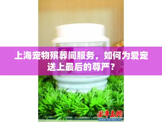 上海宠物殡葬间服务，如何为爱宠送上最后的尊严？