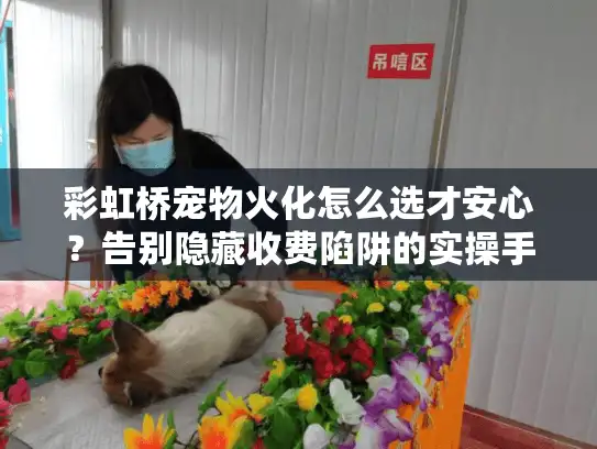 彩虹桥宠物火化怎么选才安心？告别隐藏收费陷阱的实操手册