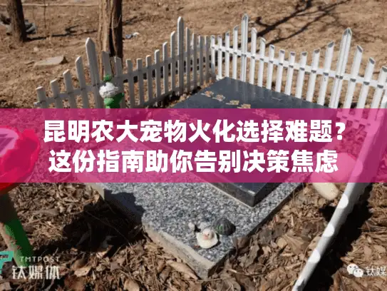 昆明农大宠物火化选择难题？这份指南助你告别决策焦虑