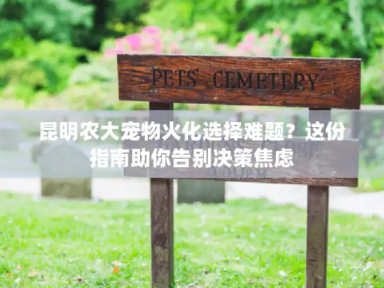 昆明农大宠物火化选择难题？这份指南助你告别决策焦虑