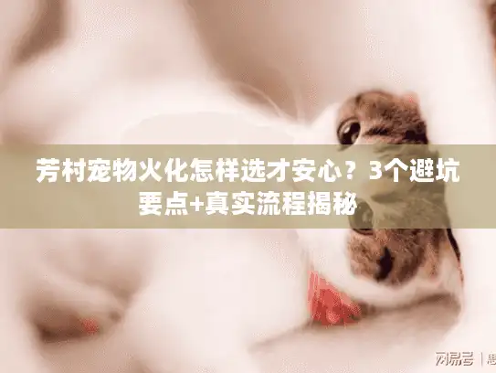 芳村宠物火化怎样选才安心？3个避坑要点+真实流程揭秘