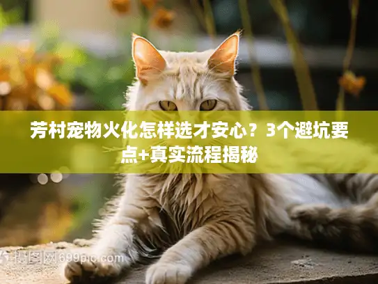 芳村宠物火化怎样选才安心？3个避坑要点+真实流程揭秘