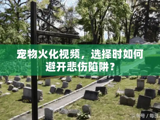 宠物火化视频，选择时如何避开悲伤陷阱？