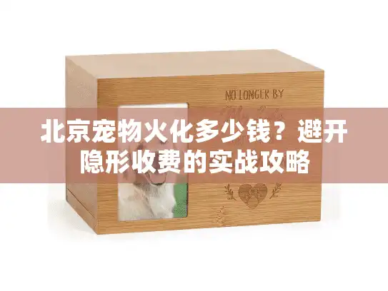 北京宠物火化多少钱？避开隐形收费的实战攻略