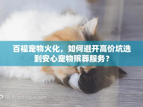 百福宠物火化，如何避开高价坑选到安心宠物殡葬服务？