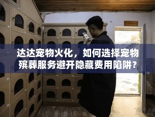 达达宠物火化，如何选择宠物殡葬服务避开隐藏费用陷阱？