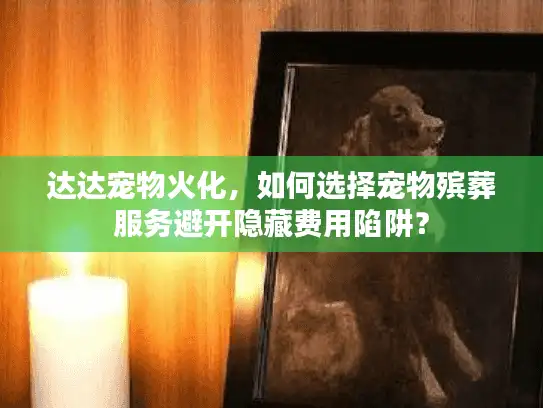 达达宠物火化，如何选择宠物殡葬服务避开隐藏费用陷阱？