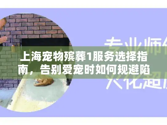 上海宠物殡葬1服务选择指南，告别爱宠时如何规避陷阱与获取温暖关怀