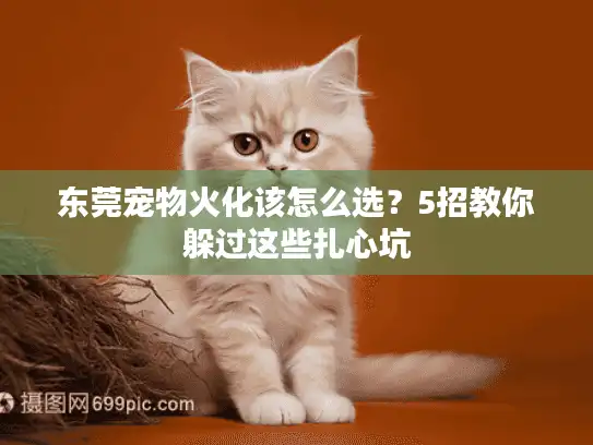 东莞宠物火化该怎么选？5招教你躲过这些扎心坑