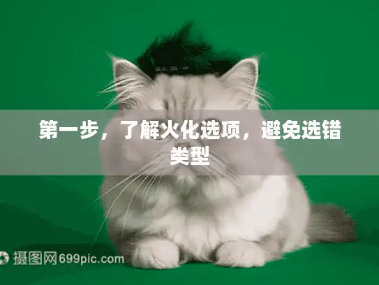 第一步，了解火化选项，避免选错类型