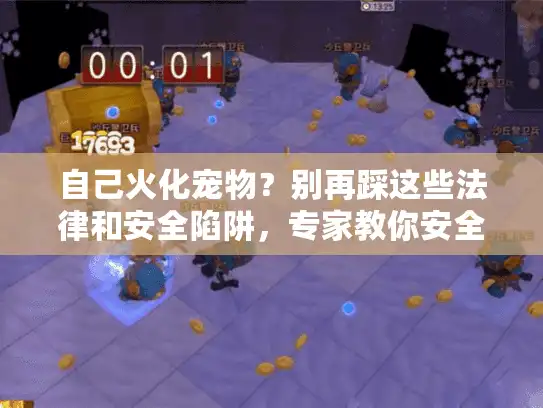 自己火化宠物？别再踩这些法律和安全陷阱，专家教你安全DIY操作