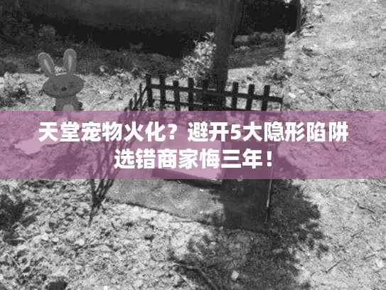 天堂宠物火化？避开5大隐形陷阱选错商家悔三年！
