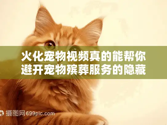 火化宠物视频真的能帮你避开宠物殡葬服务的隐藏风险吗？专家揭秘关键筛选技巧