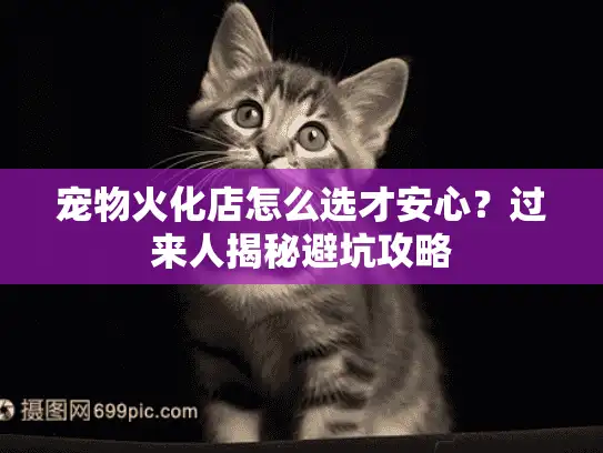 宠物火化店怎么选才安心？过来人揭秘避坑攻略