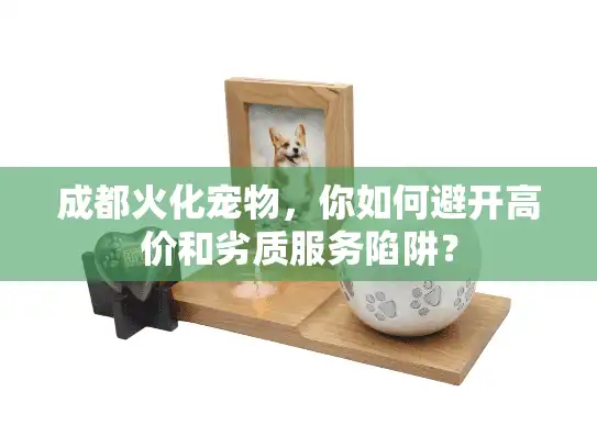 成都火化宠物，你如何避开高价和劣质服务陷阱？