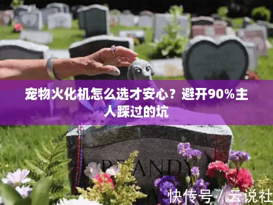 宠物火化机怎么选才安心？避开90%主人踩过的坑