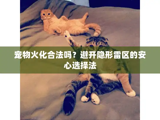 宠物火化合法吗？避开隐形雷区的安心选择法