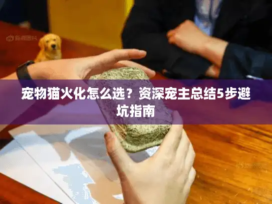 宠物猫火化怎么选？资深宠主总结5步避坑指南