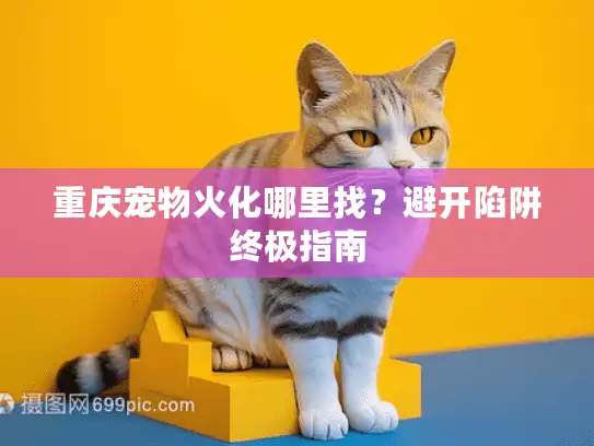 重庆宠物火化哪里找？避开陷阱终极指南