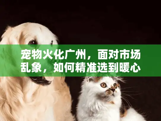 宠物火化广州，面对市场乱象，如何精准选到暖心服务不花冤枉钱？