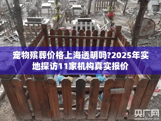 宠物殡葬价格上海透明吗?2025年实地探访11家机构真实报价