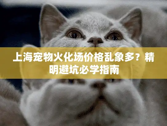 上海宠物火化场价格乱象多？精明避坑必学指南