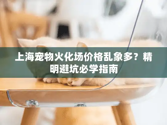 上海宠物火化场价格乱象多？精明避坑必学指南