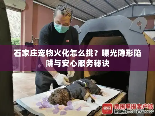 石家庄宠物火化怎么挑？曝光隐形陷阱与安心服务秘诀