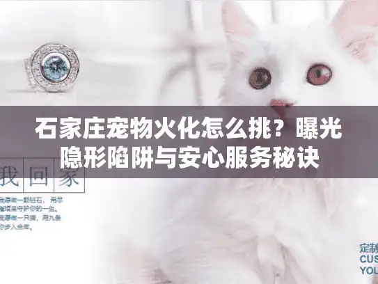 石家庄宠物火化怎么挑？曝光隐形陷阱与安心服务秘诀