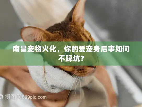 南昌宠物火化，你的爱宠身后事如何不踩坑？