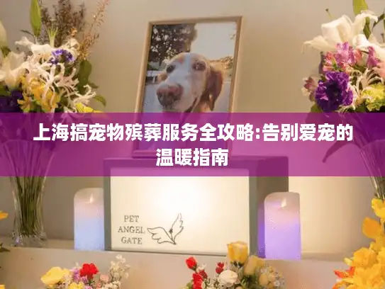 上海搞宠物殡葬服务全攻略:告别爱宠的温暖指南