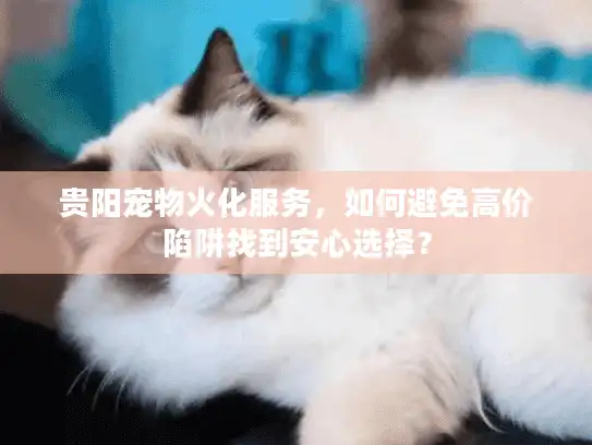 贵阳宠物火化服务，如何避免高价陷阱找到安心选择？