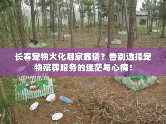 长春宠物火化哪家靠谱？告别选择宠物殡葬服务的迷茫与心痛！