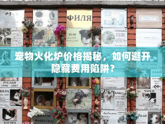 宠物火化炉价格揭秘，如何避开隐藏费用陷阱？