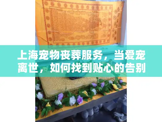 上海宠物丧葬服务，当爱宠离世，如何找到贴心的告别方案？