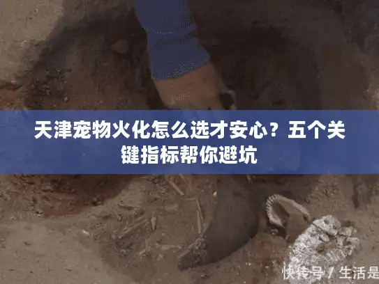 天津宠物火化怎么选才安心？五个关键指标帮你避坑